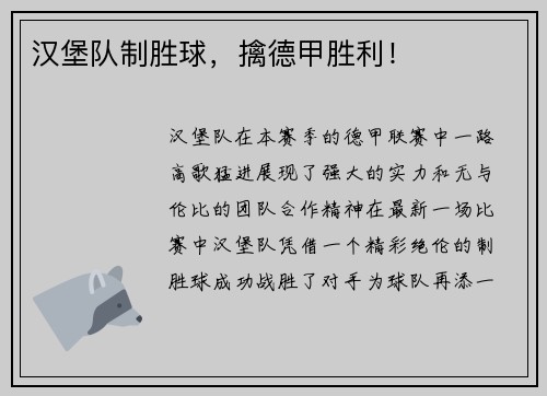 汉堡队制胜球，擒德甲胜利！